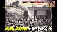 250423_toku.jpg