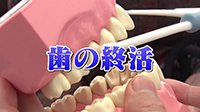 250529_toku.jpg