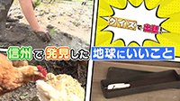 250606_toku.jpg