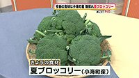250616_toku.jpg