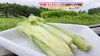 250714_toku.jpg
