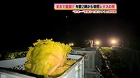 250828_toku.jpg