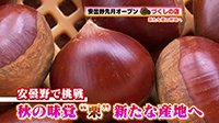 251010_toku.jpg