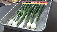 260511_toku.jpg