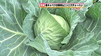 260608_toku.jpg