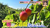 260616_toku.jpg