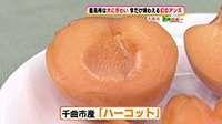 260616_toku02.jpg