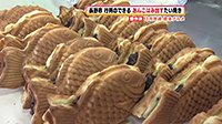 260623_toku02.jpg