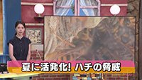 260806_toku.jpg