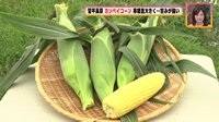 260923_toku.jpg