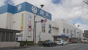 ois-250413-01.jpg