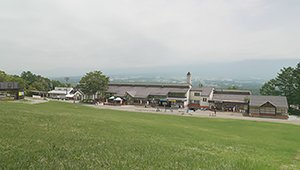 ois-250602-01.jpg