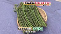 250519_toku.jpg