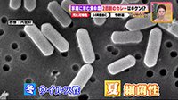 260624_toku.jpg