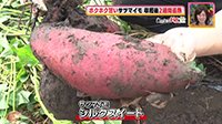 261026_toku.jpg